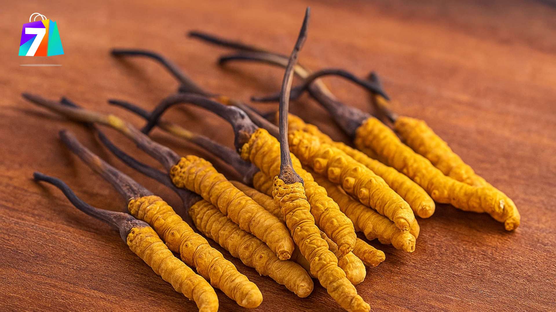 3. Lợi ích khi sử dụng đông trùng hạ thảo tự nhiên