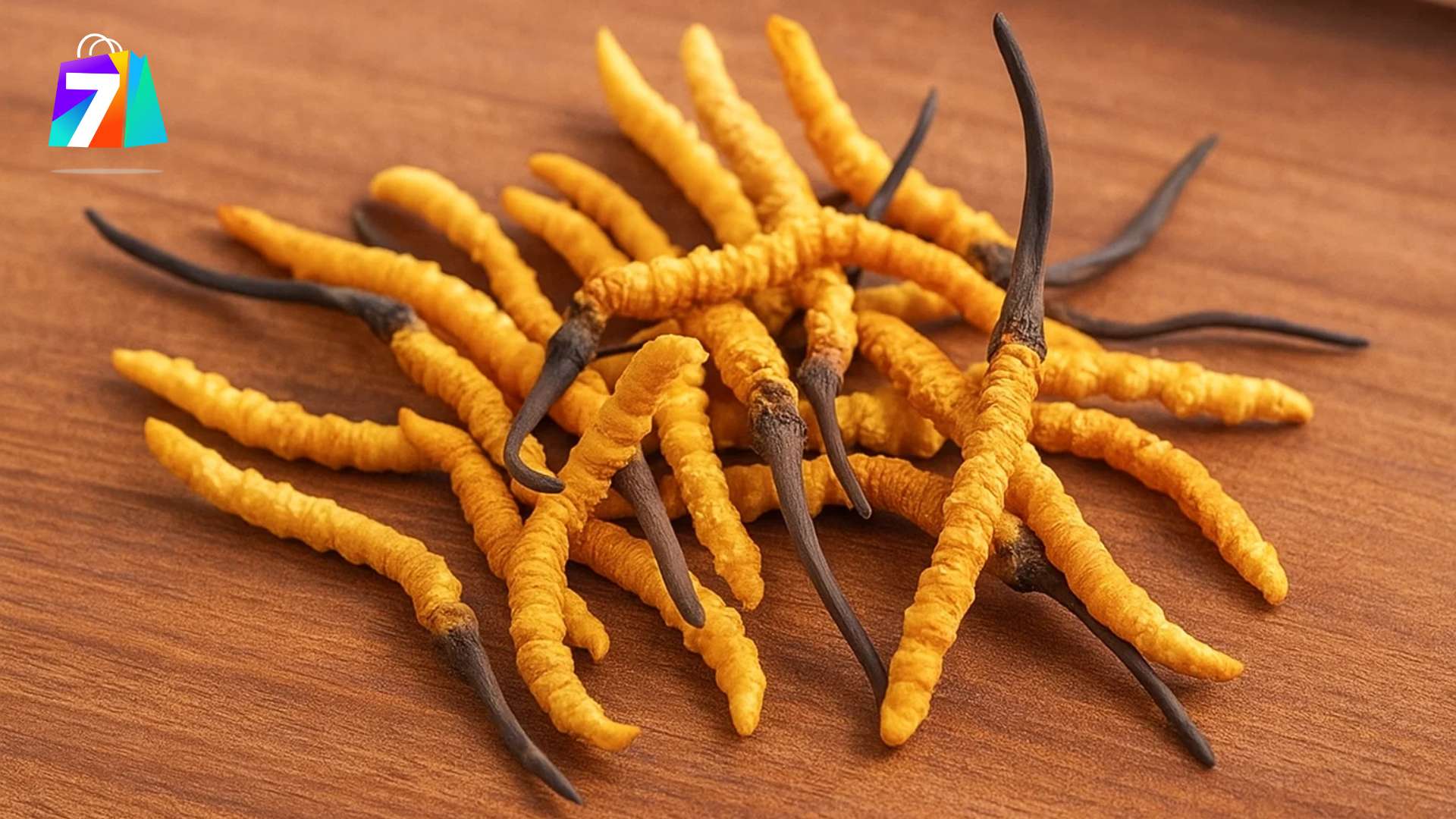 1. Tại sao sức đề kháng lại quan trọng?