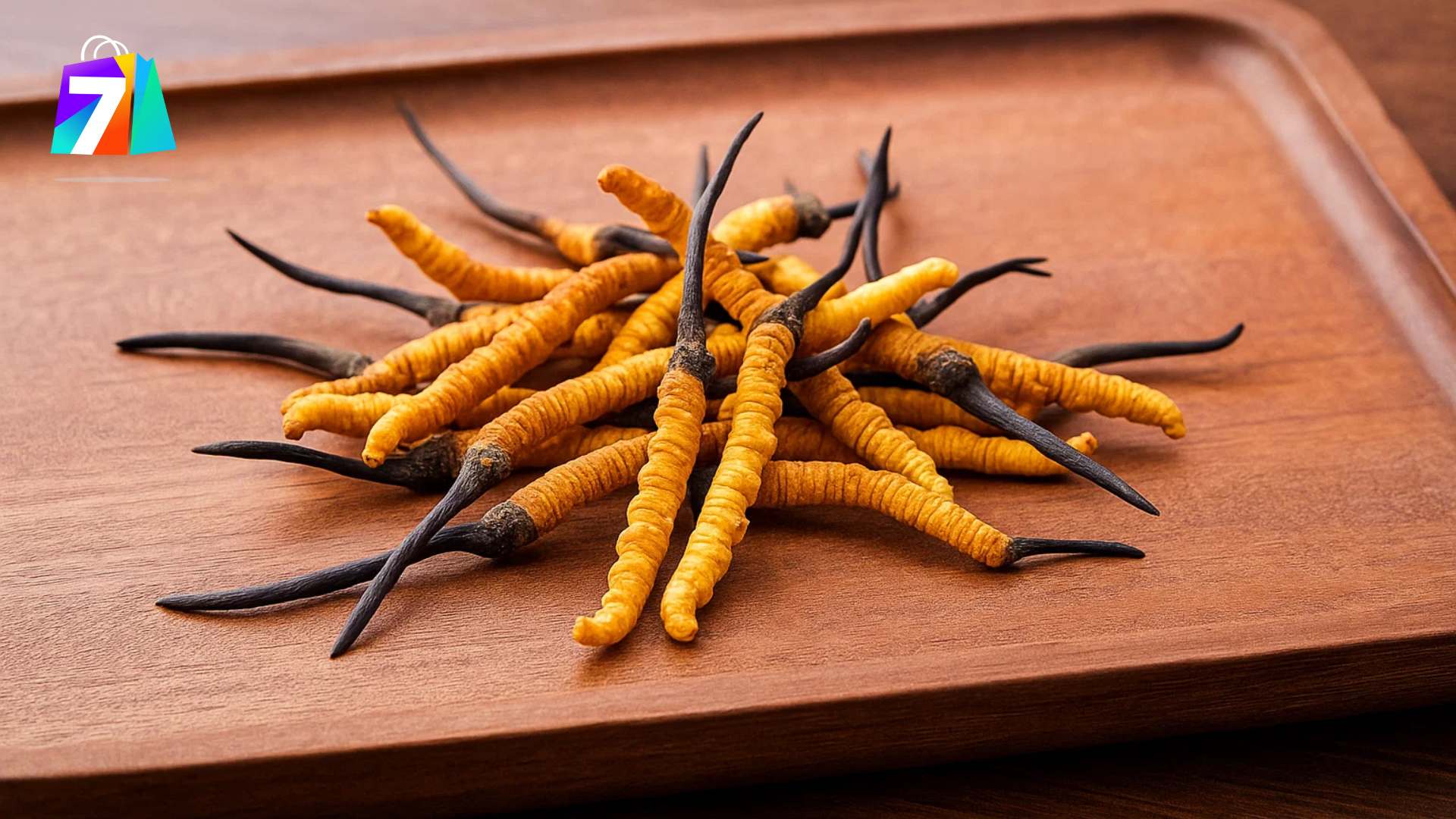 1. Cảm nhận chung sau khi sử dụng