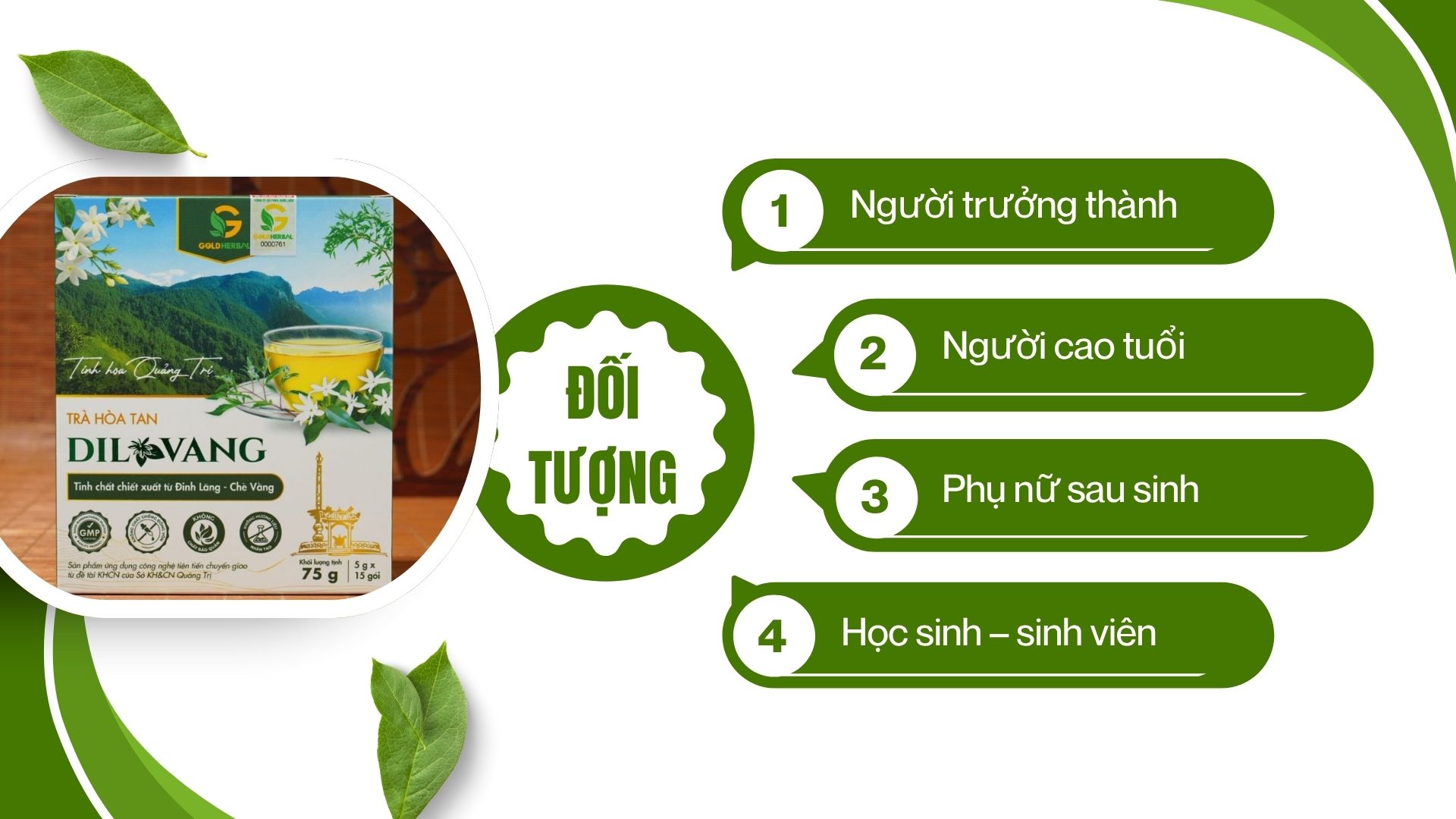 Cao đinh lăng hòa tan có phù hợp cho mọi lứa tuổi?