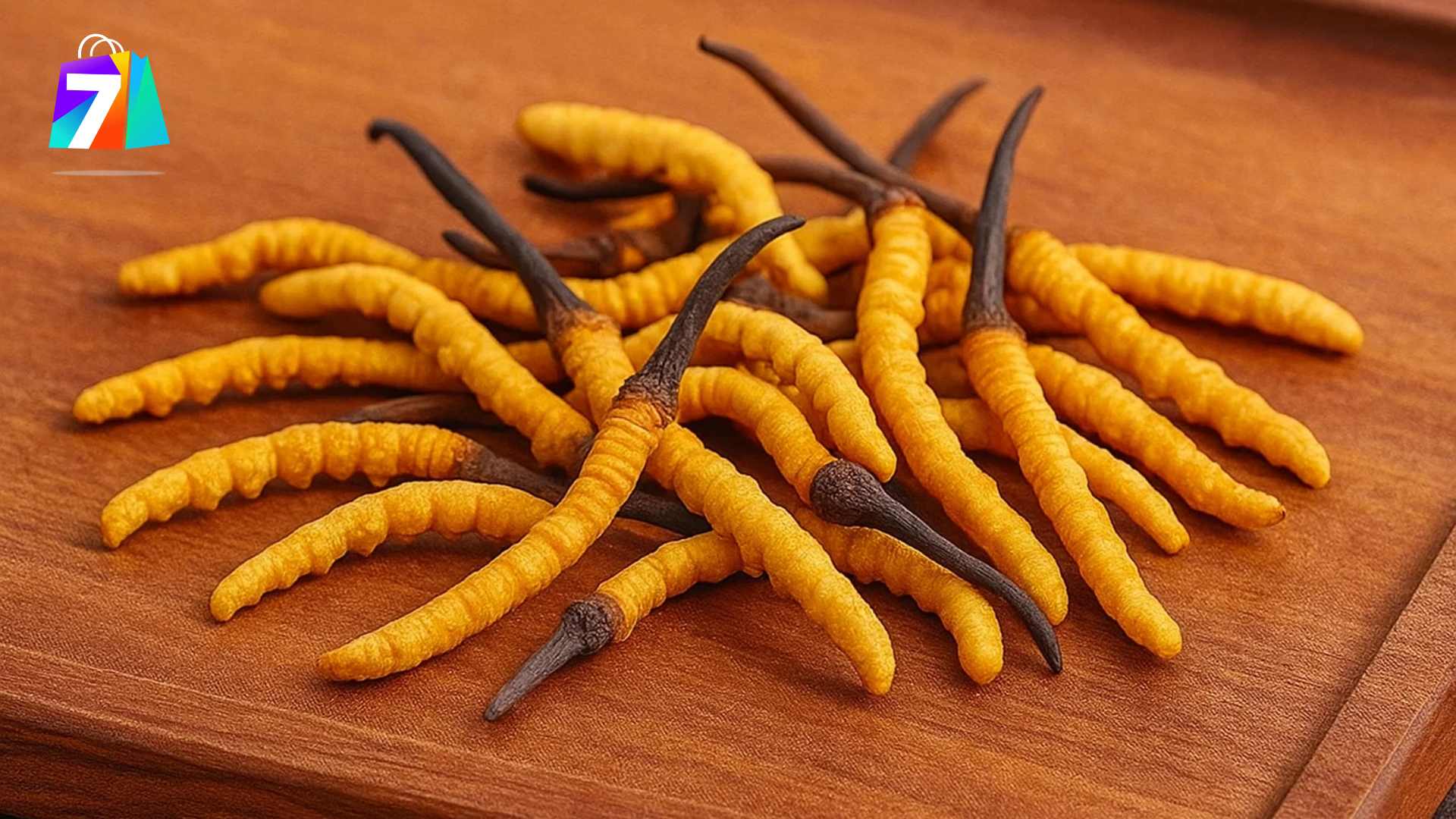 3. Liều lượng đông trùng hạ thảo cho người lớn