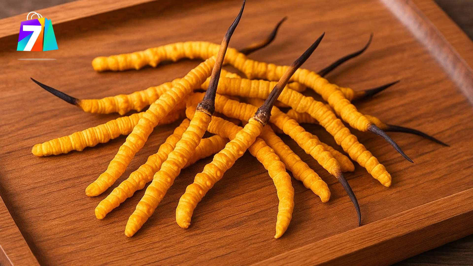 1. Trải nghiệm chung sau 1 tháng sử dụng