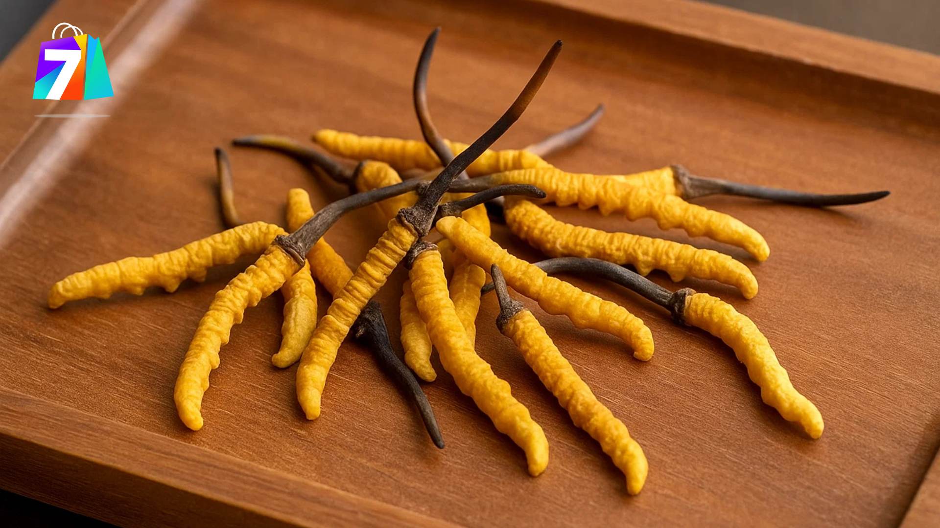 3. Hướng dẫn sử dụng cho người cao tuổi