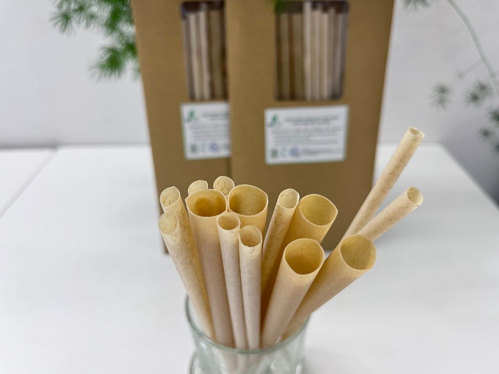 3. Tiêu chí chọn ống hút thân thiện với môi trường