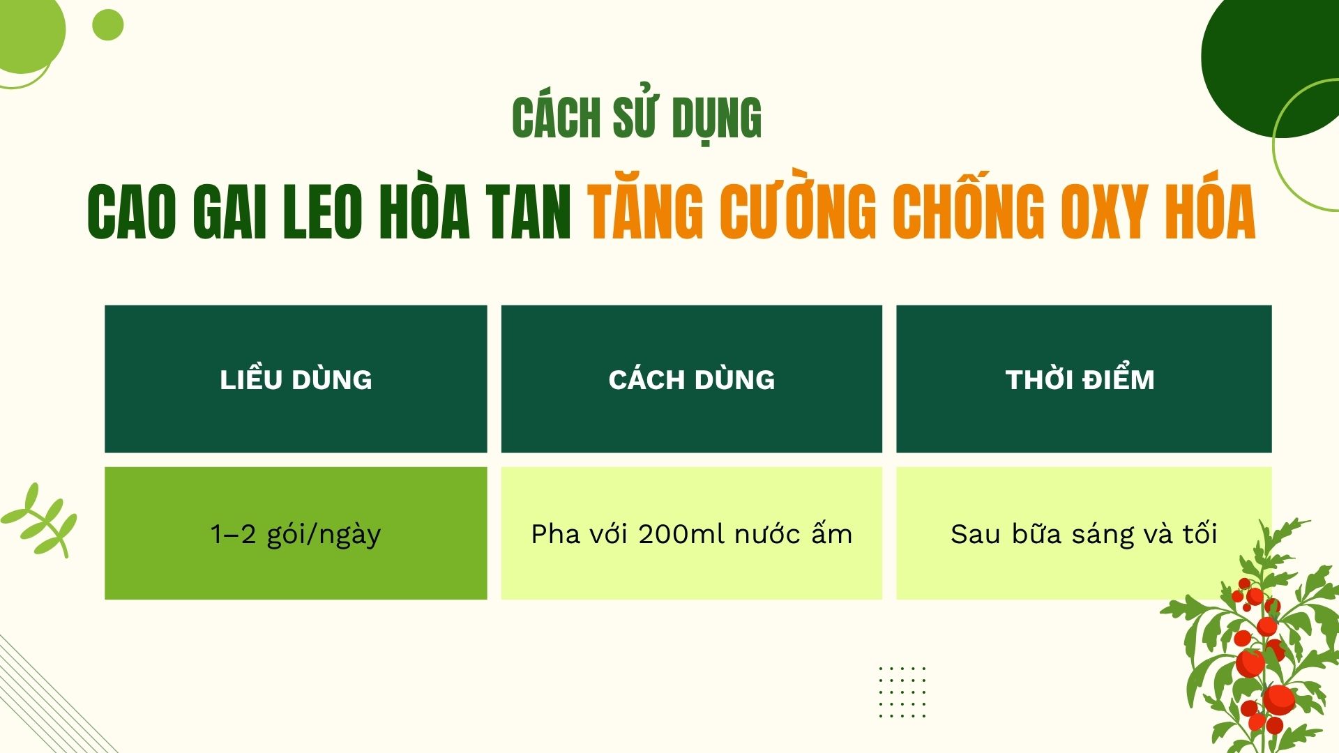 Hướng dẫn sử dụng cà gai leo hòa tan để tăng cường chống oxy hóa