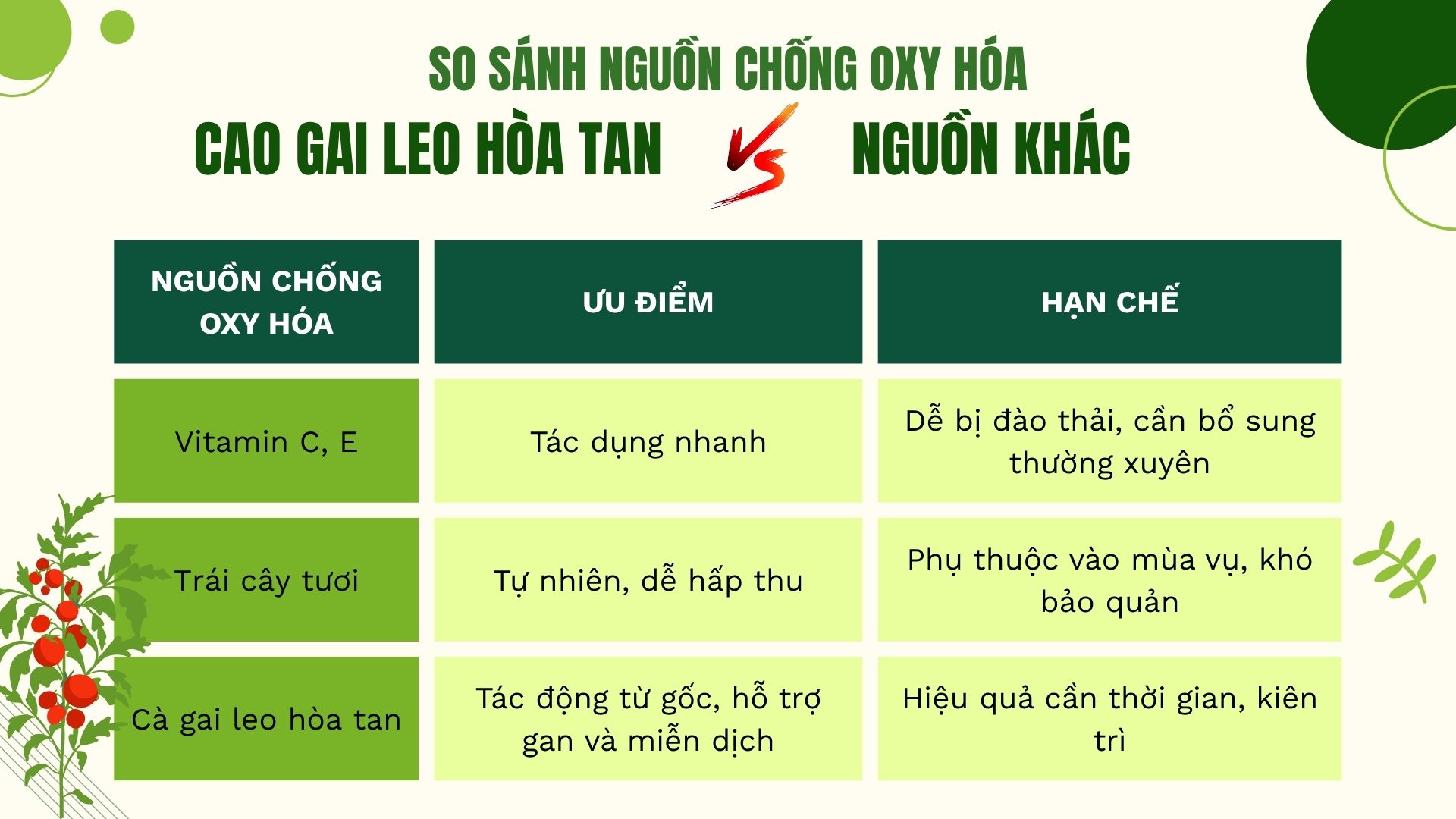So sánh cà gai leo hòa tan với các nguồn chống oxy hóa khác