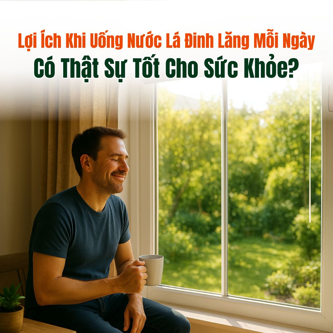 Lợi Ích Khi Uống Nước Lá Đinh Lăng Mỗi Ngày – Có Thật Sự Tốt Cho Sức Khỏe?