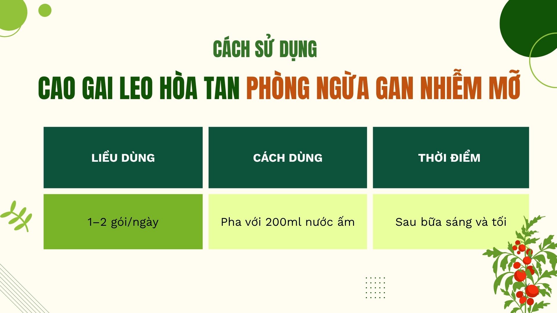 Hướng dẫn sử dụng cà gai leo hòa tan để phòng ngừa gan nhiễm mỡ