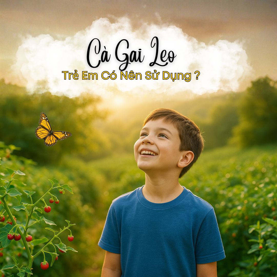 Trẻ Em Có Nên Uống Cà Gai Leo Hòa Tan Không?
