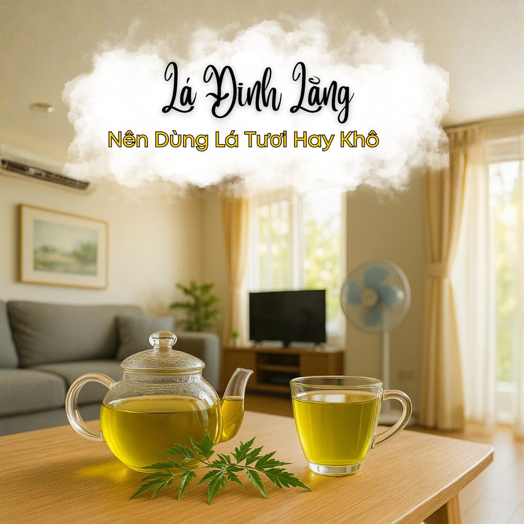 Uống Nước Lá Đinh Lăng: Nên Dùng Lá Tươi Hay Khô Để Tốt Cho Sức Khỏe?