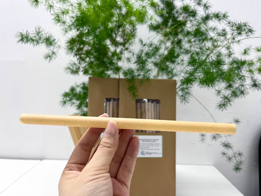 4. Sống xanh bắt đầu từ những thói quen đơn giản