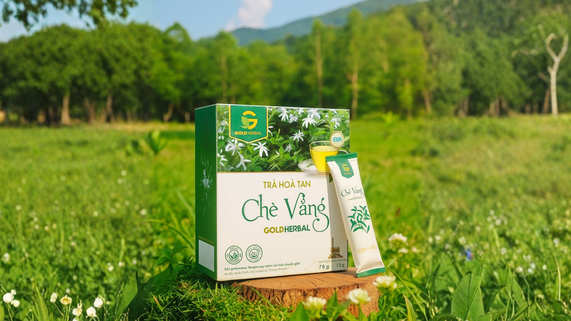 Chè Vằng – Dược liệu truyền thống với giá trị hiện đại