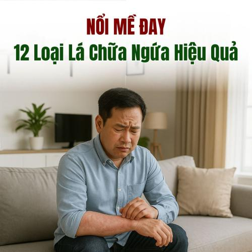 Nổi Mề Đay Tắm Lá Gì? 12 Loại Lá Chữa Ngứa Hiệu Quả Từ Xưa Đến Nay