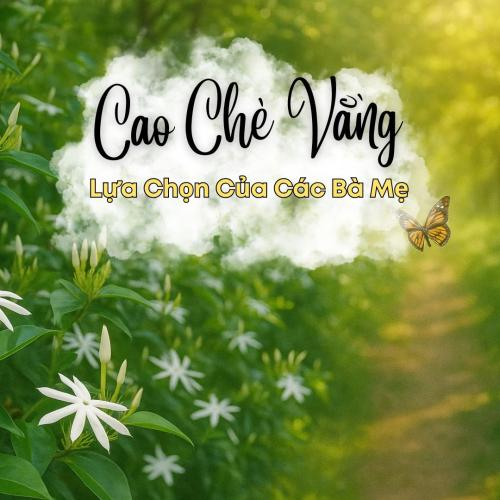 Tại Sao Cao Chè Vằng Của Gold Herbal Được Nhiều Mẹ Sau Sinh Lựa Chọn?