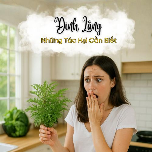 Cây Đinh Lăng: Lợi Ích Tuyệt Vời và Những Tác Hại Cần Biết