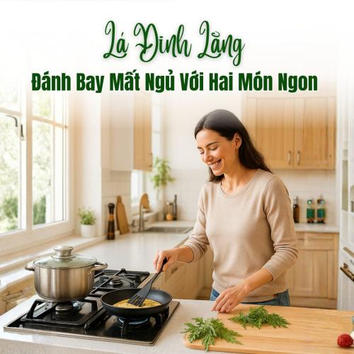 Đánh Bay Mất Ngủ Với Hai Món Ngon Từ Lá Đinh Lăng