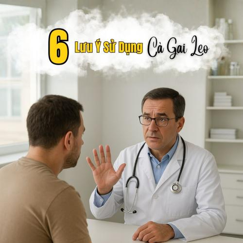 6 Lưu Ý Khi Sử Dụng Cà Gai Leo Hòa Tan Hàng Ngày