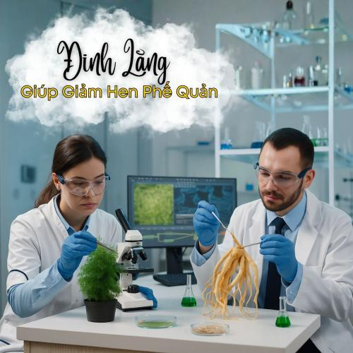 Giảm Hen Phế Quản – Hiệu Quả Bất Ngờ Từ Đinh Lăng