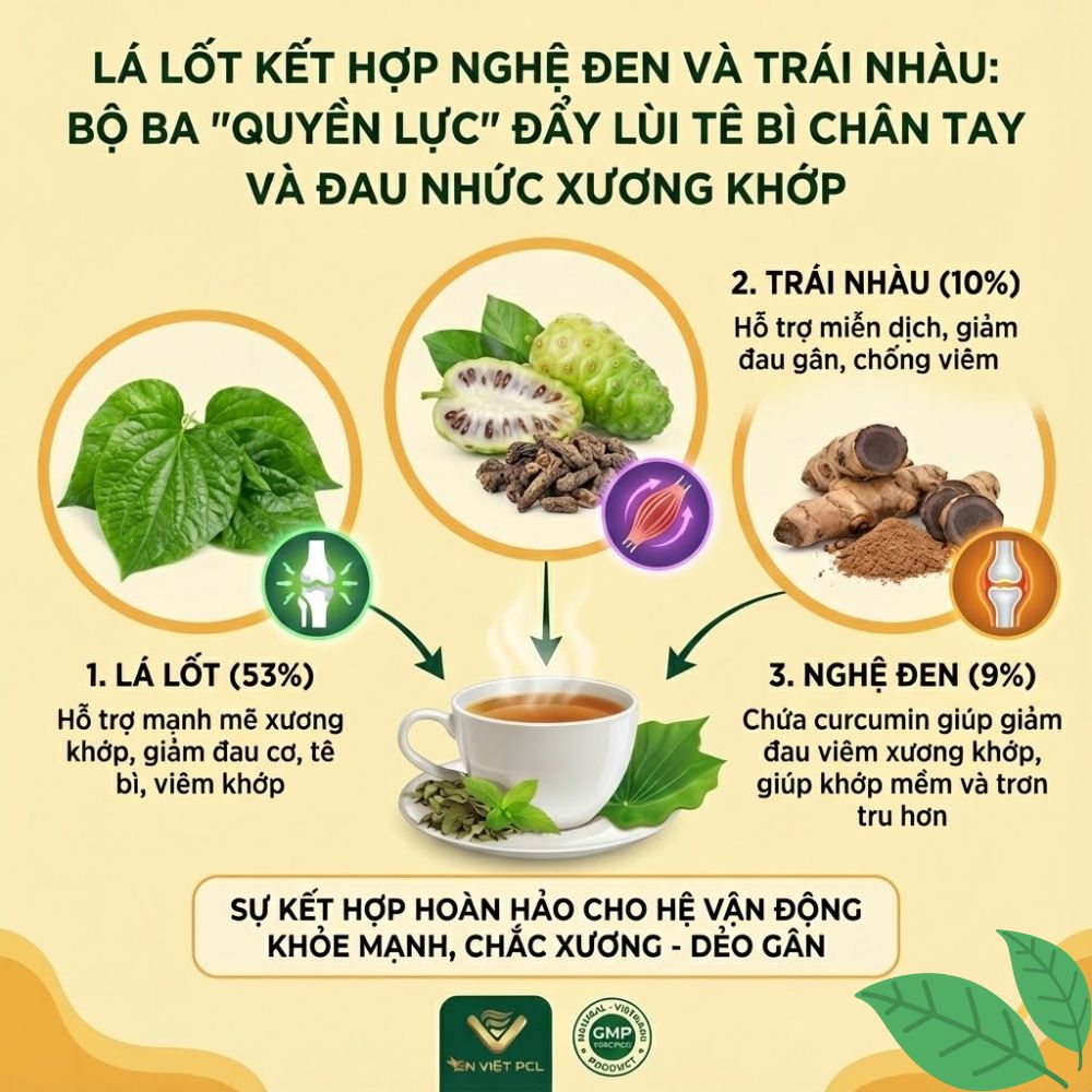 Lá Lốt Kết Hợp Nghệ Đen Và Trái Nhàu: Bộ Ba "Quyền Lực" Đẩy Lùi Tê Bì Chân Tay Và Đau Nhức Xương Khớp.