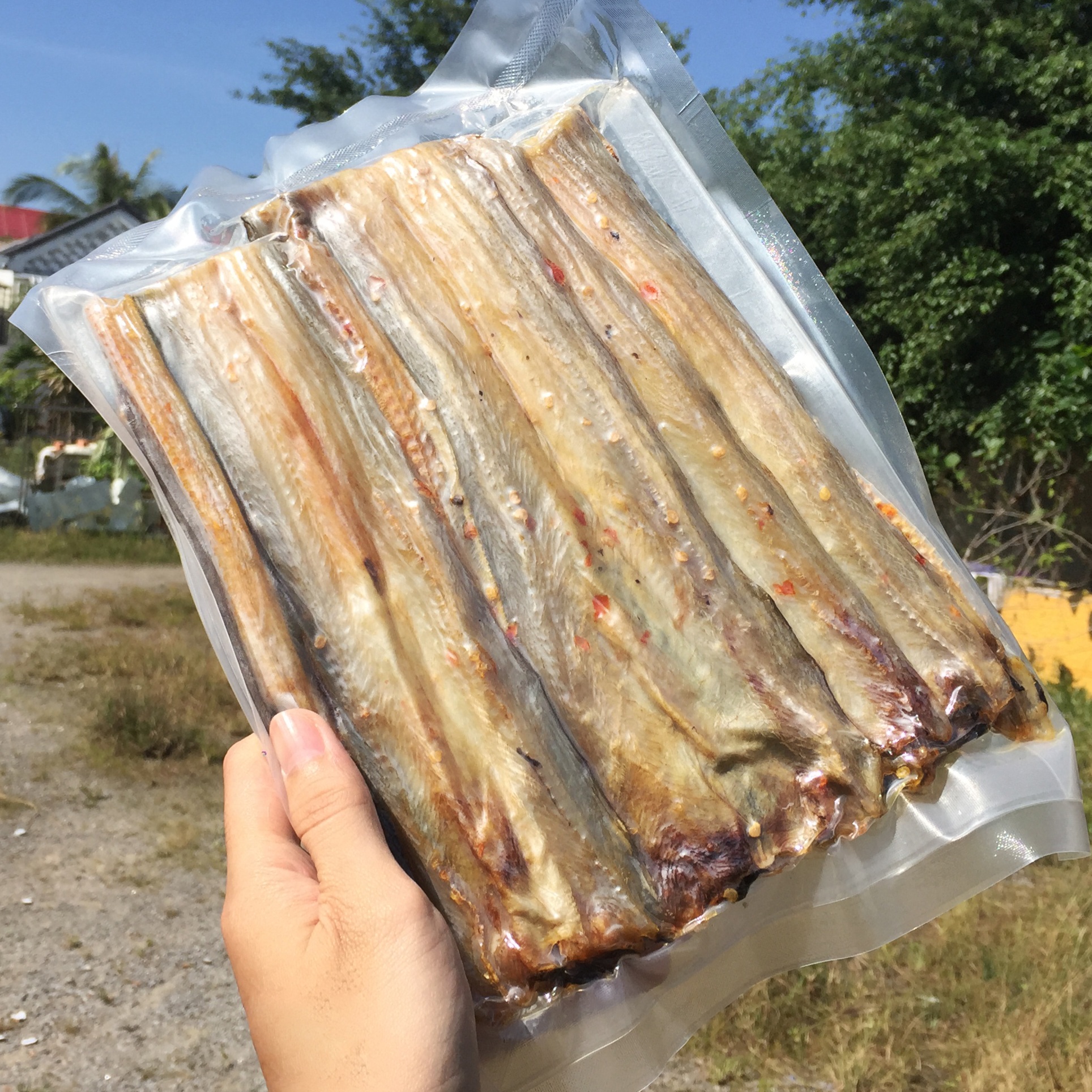 Cá chình có chất dinh dưỡng nào?