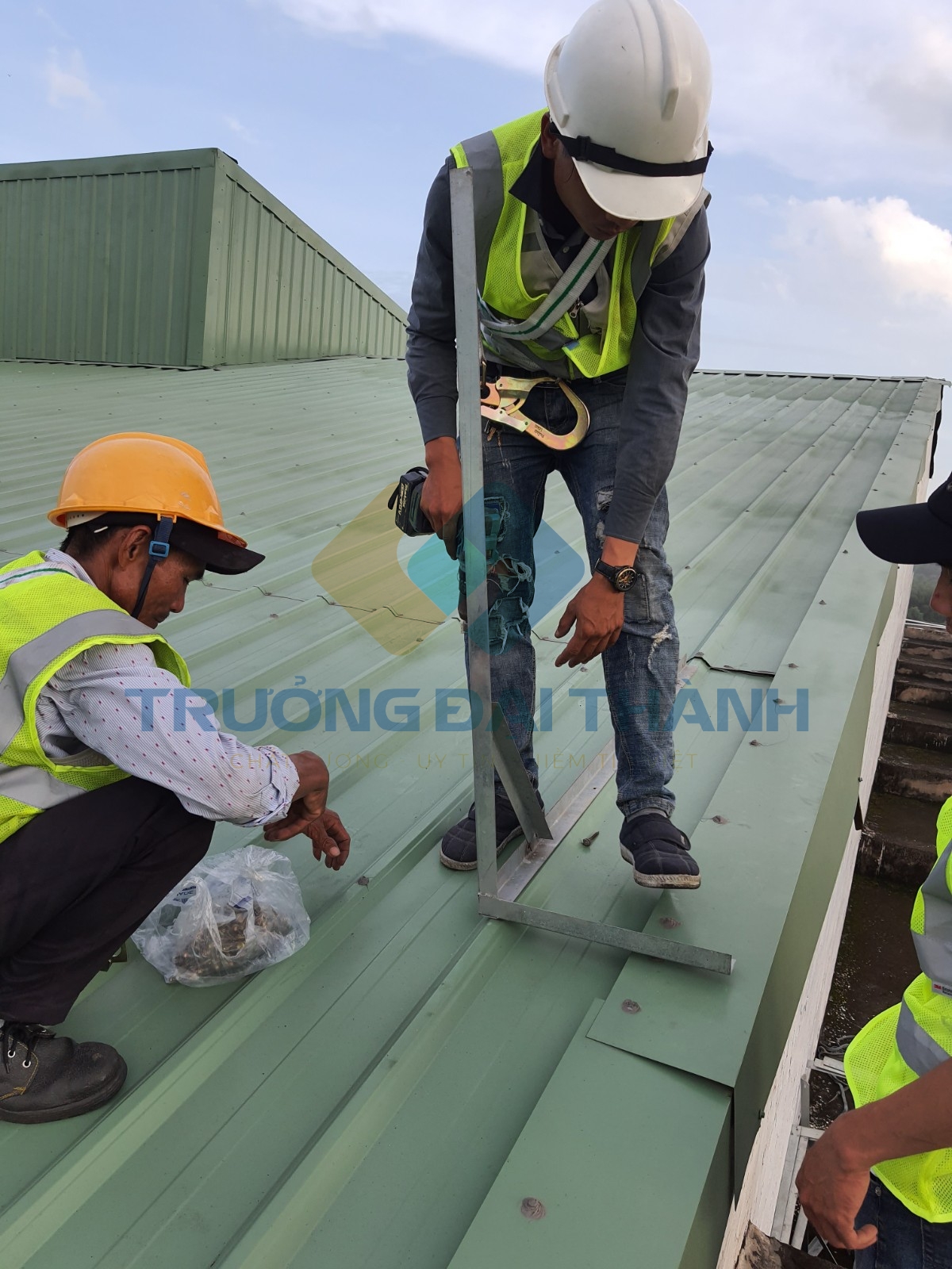 Trách Nhiệm Và Hướng Dẫn