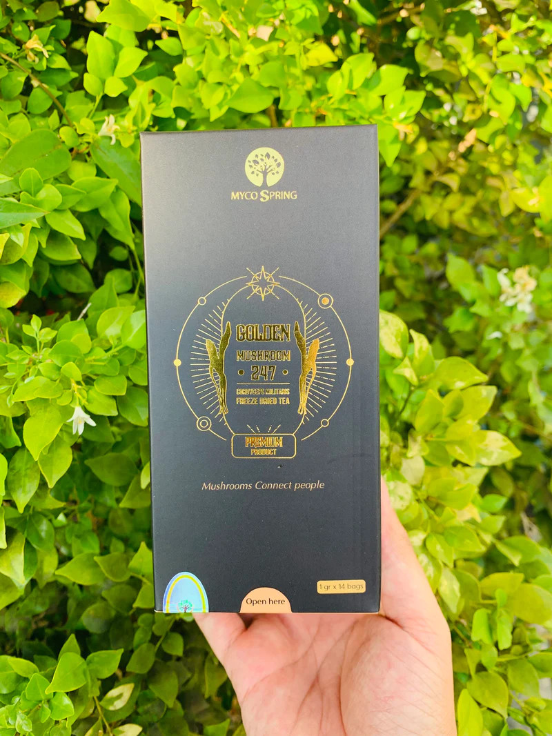 Trà Gói Đông Trùng Hạ Thảo Golden 247 (Hộp 7 Gói)