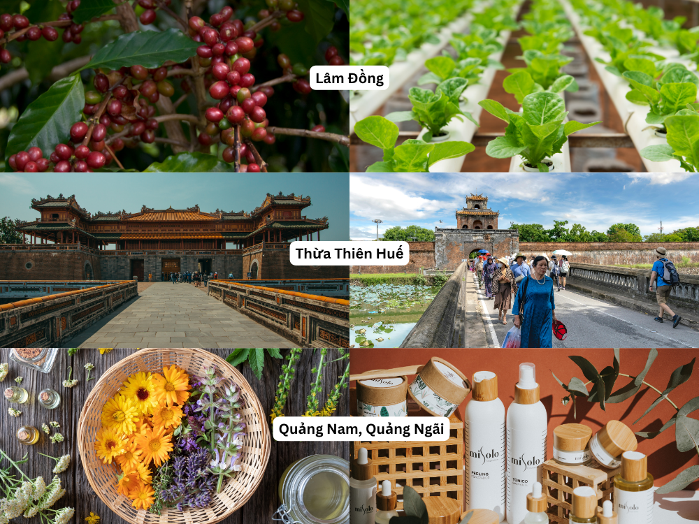 4. Những mô hình điển hình từ địa phương