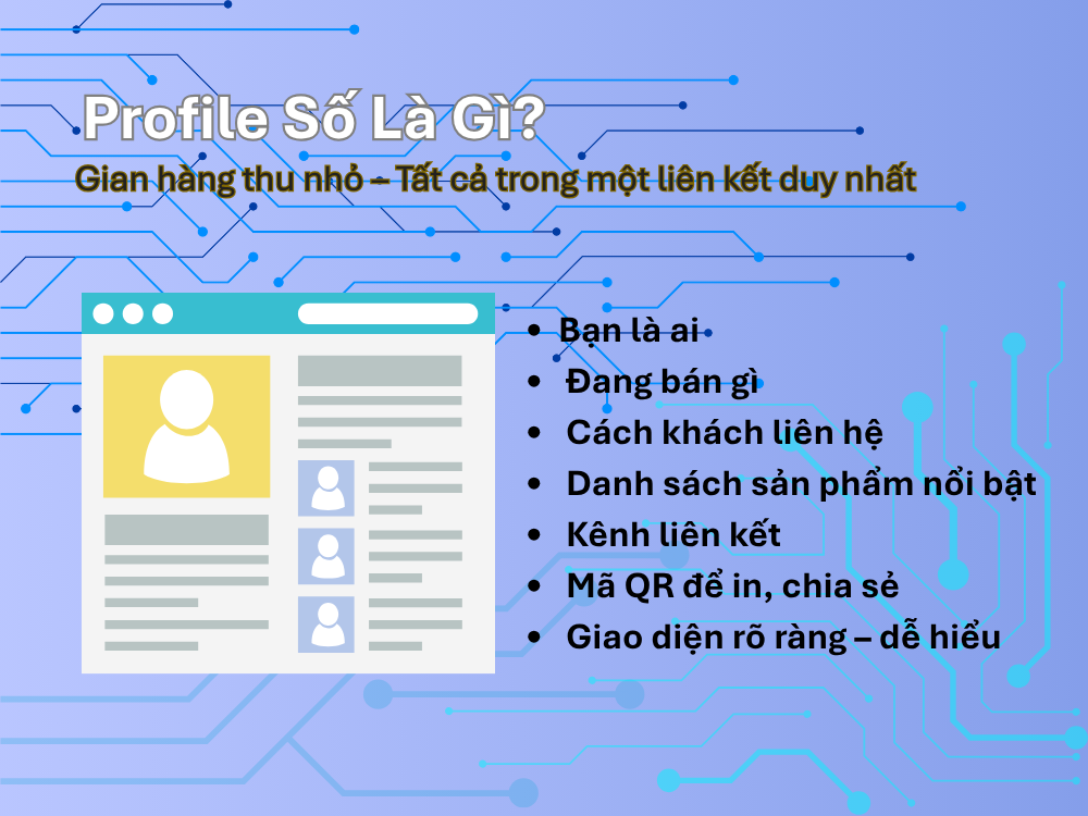 1. Profile số là gì và có những gì?