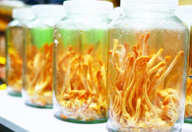 Công dụng so sánh