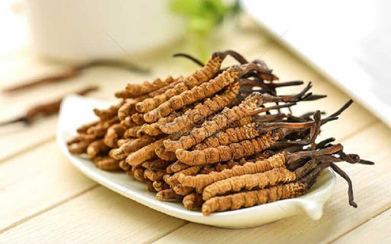 Giá trị dinh dưỡng nổi bật