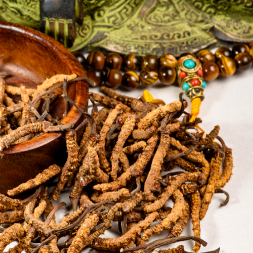 Đông Trùng Hạ Thảo Và Hệ Miễn Dịch: Giải Pháp Tự Nhiên Cho Sức Khỏe Bền Vững