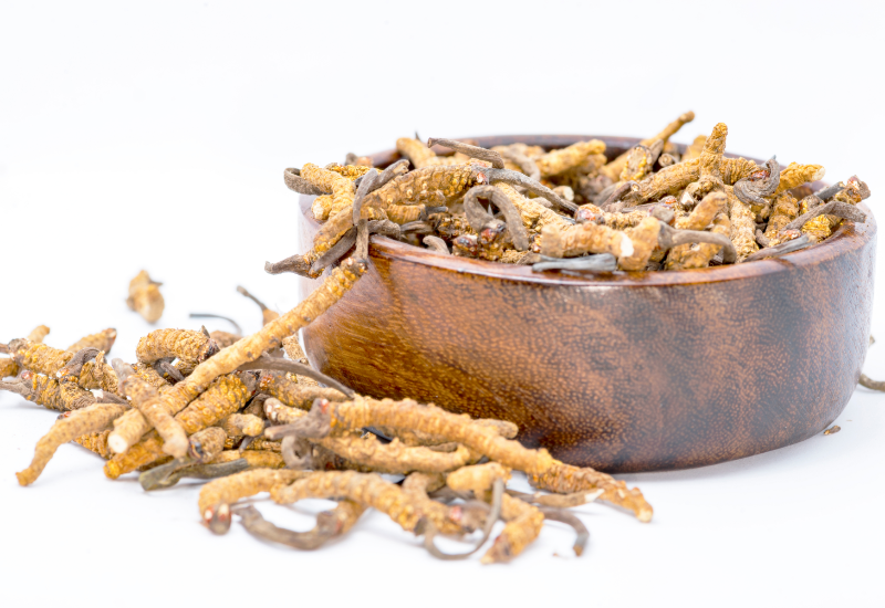 Cách kiểm tra Đông trùng hạ thảo thật – giả