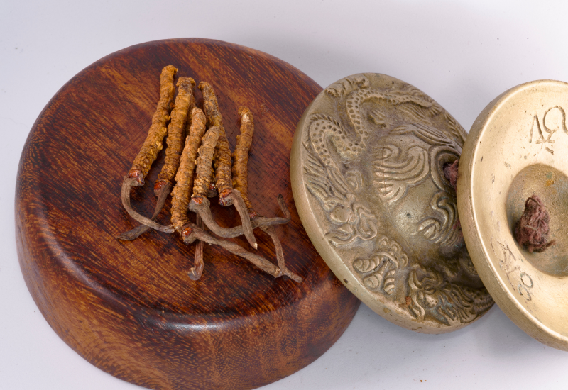 Lưu ý khi mua Đông trùng hạ thảo