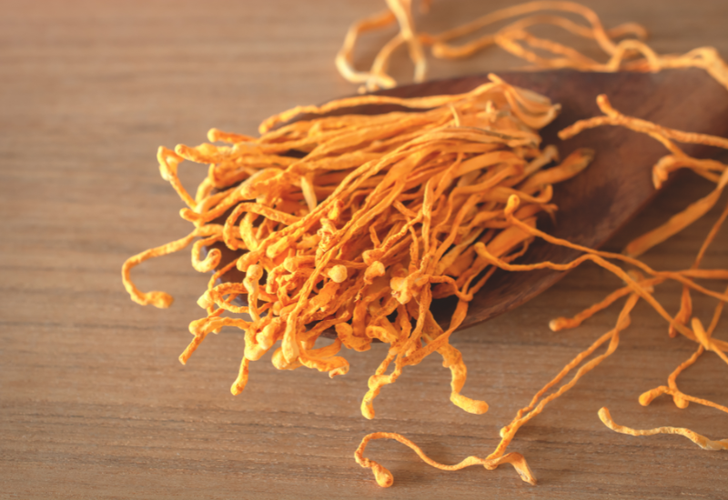 Tại sao cần cảnh giác khi mua Đông trùng hạ thảo?