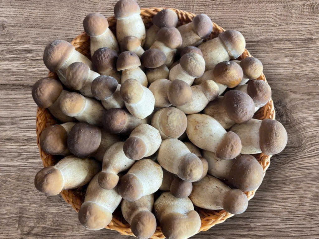 Trích dẫn từ Báo Nhân Dân Online năm 2024