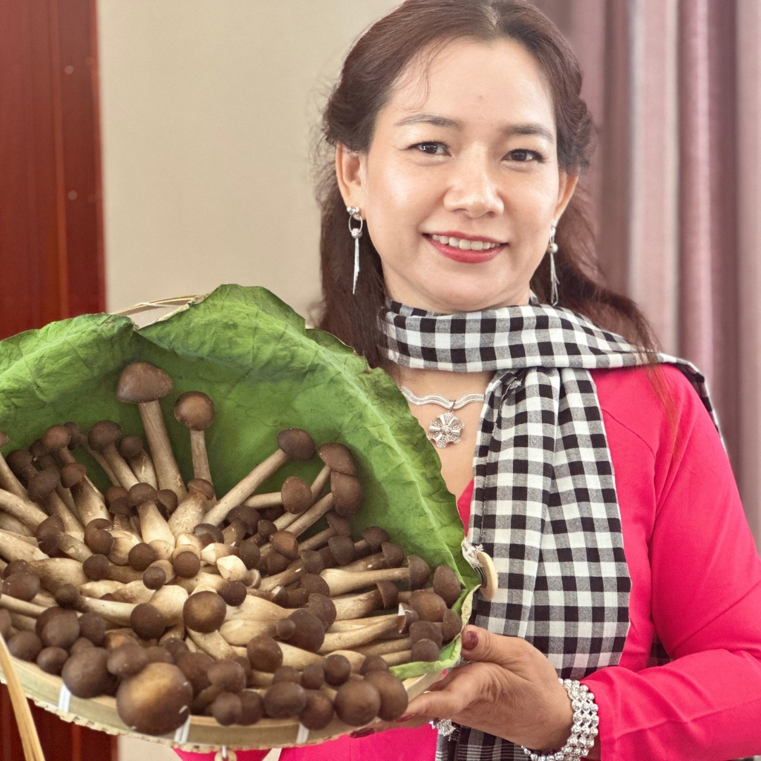 Chị Nông Dân An Giang Trồng Các Loại Nấm Làm Thuốc, Tạo Vô Số Việc Làm, Tăng Thu Nhập Cho Hộ Nghèo