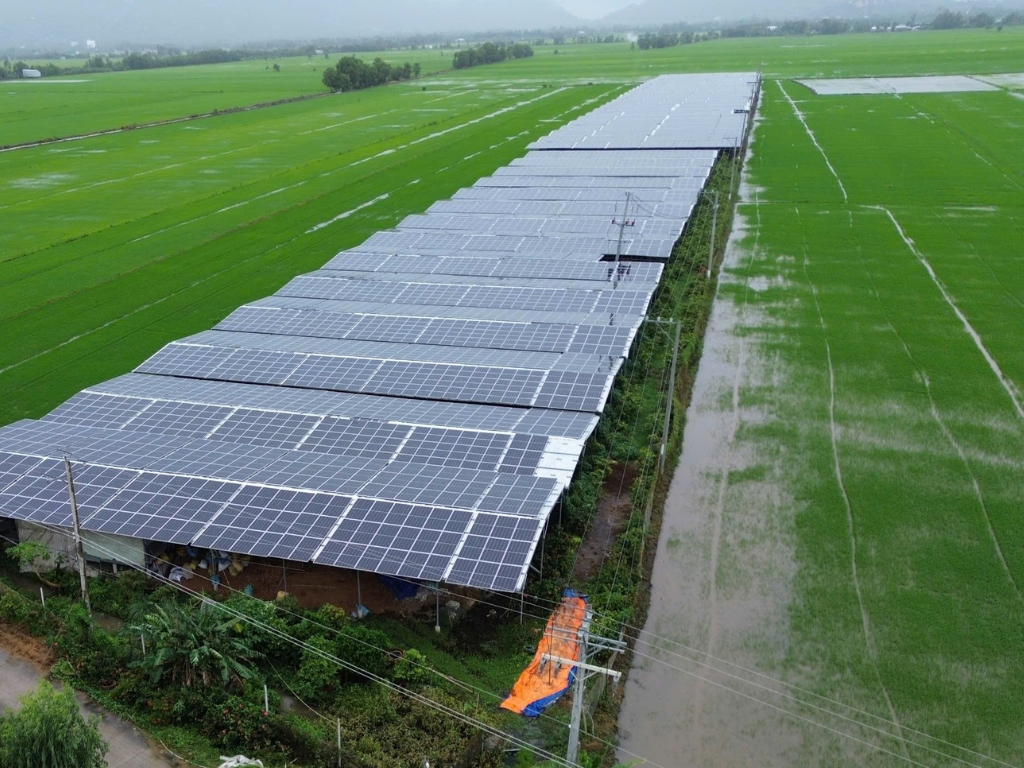 Hướng đến tăng trưởng xanh