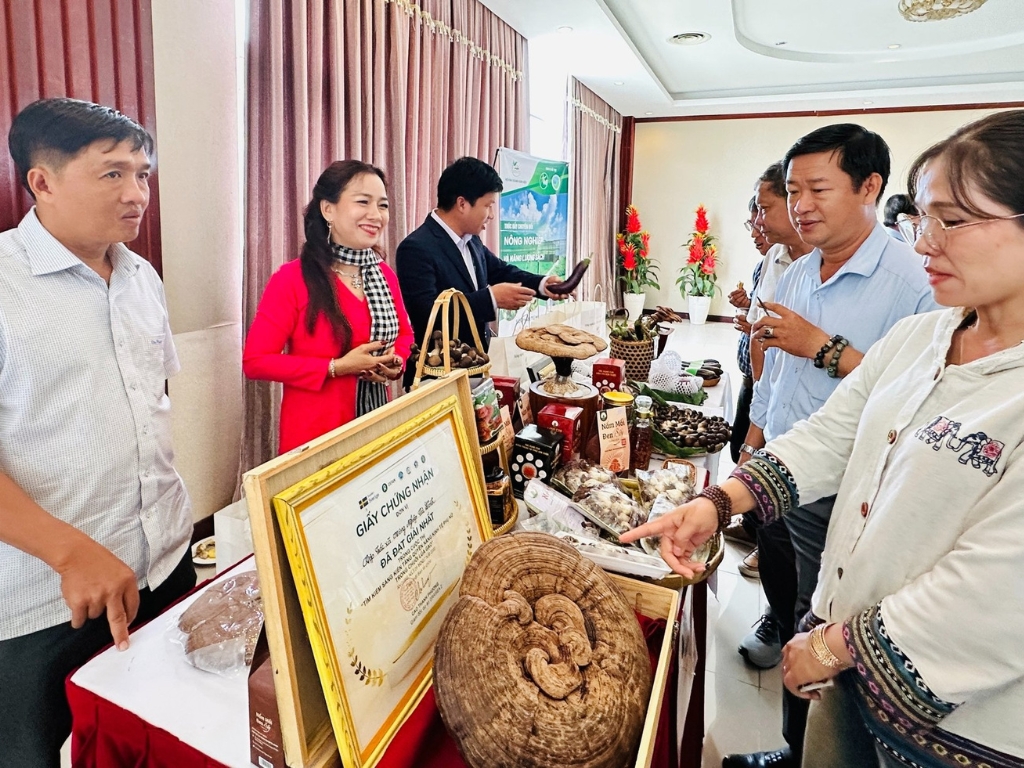 Không ngừng chuyển đổi để phát triển, cho thu nhập bền vững hơn