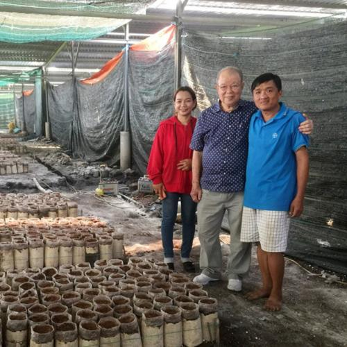 Trồng Nấm Mối Đen Theo Hướng Tuần Hoàn Khép Kín