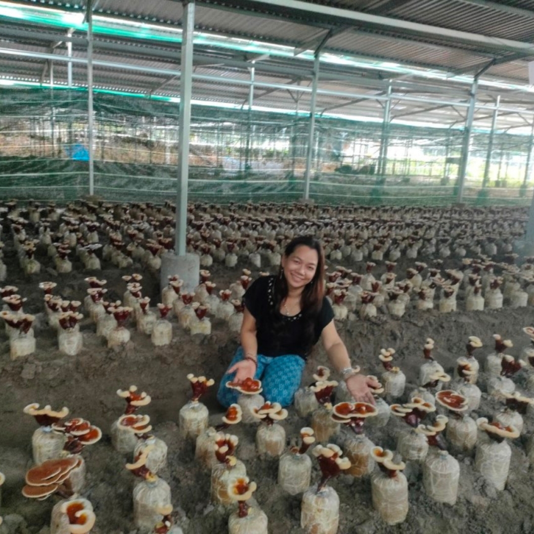 Nông Nghiệp Tuần Hoàn Từ Dược Liệu Tự Nhiên