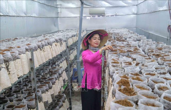 Lan tỏa giá trị từ một mô hình nhỏ