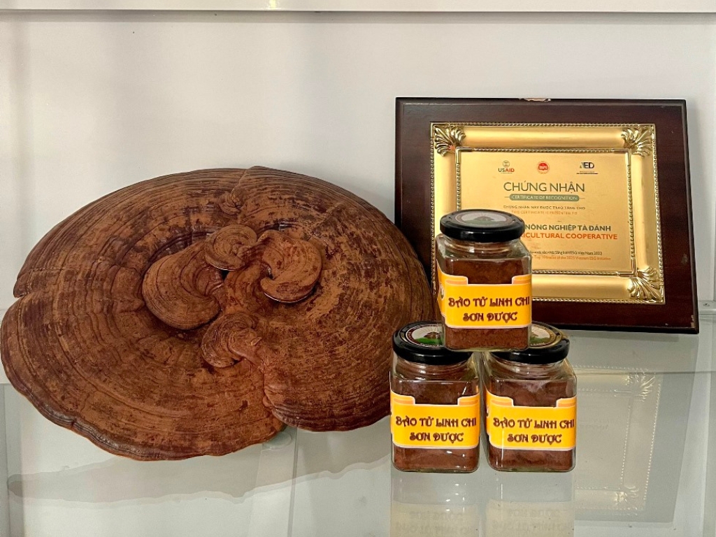 Theo đuổi đam mê