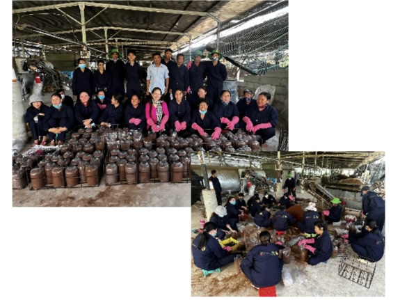 4.. Hiền Nương – Gắn Kết Con Người, Thiên Nhiên Và Tương Lai Nông Nghiệp Bền Vững