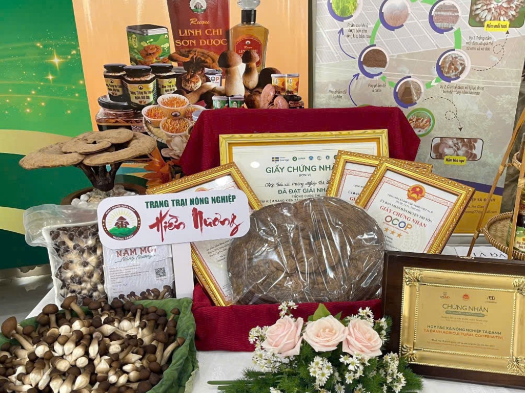 Khám phá thêm các dòng nấm dược liệu của Nương Farm