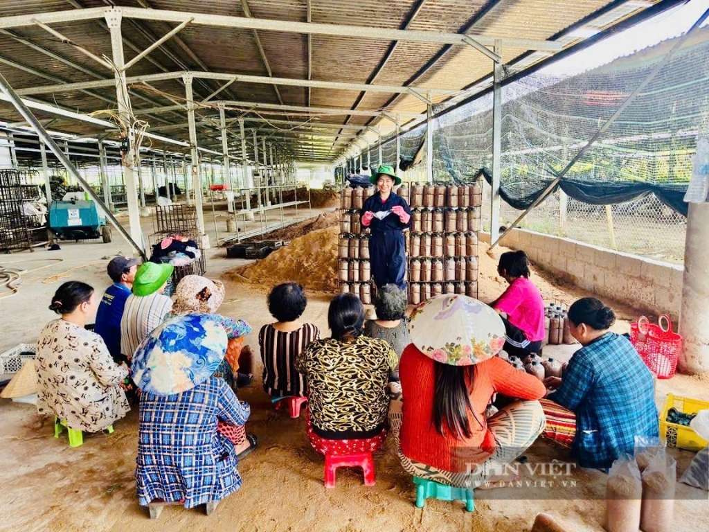 Tấm gương nông dân sản xuất giỏi Châu Thị Nương