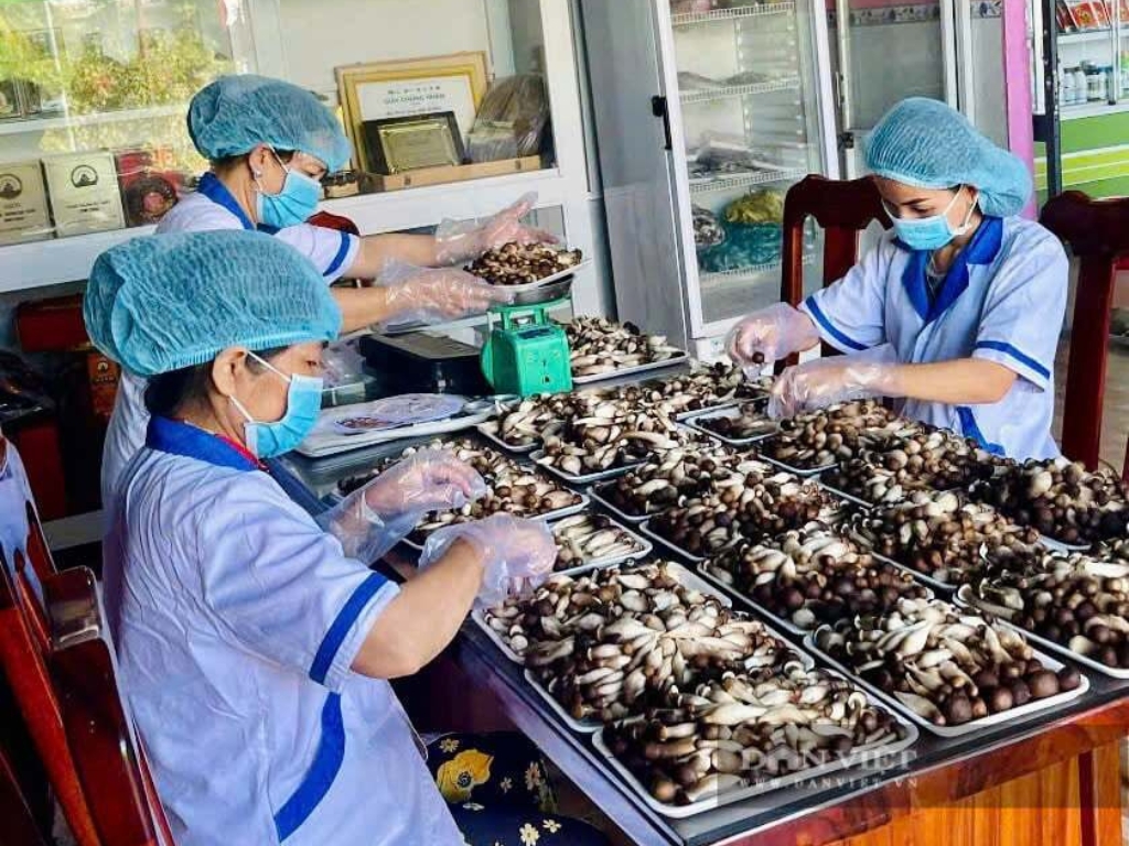 Từ giải thưởng đến tầm nhìn phát triển bền vững