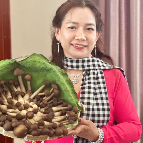 Từ Mô Hình Trồng Nấm Dược Liệu, Chị Nông Dân An Giang Giúp Hàng Chục Hộ Nghèo Đổi Đời