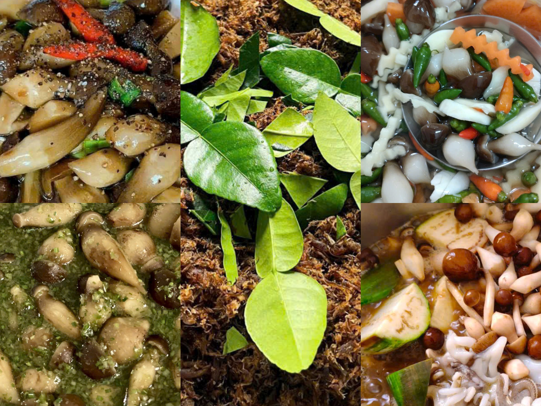 Gợi ý các món ngon từ nấm mối