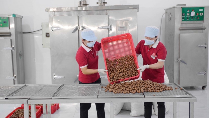 Khó khăn bủa vây