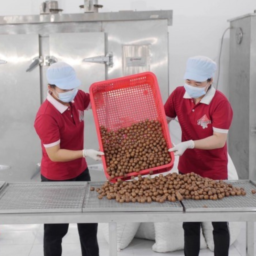 Đắk Lắk: Nhiều Giải Pháp Hỗ Trợ Doanh Nghiệp Nhỏ Và Vừa